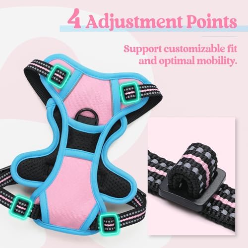 rabbitgoo Dog Harness, No Pull for Small Dogs - Image 4