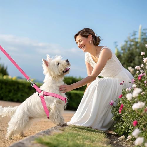 BINGPET No Pull Dog Harness and Leash Set, Adjustable Step-in Vest - Image 2