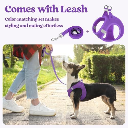 rabbitgoo Dog Harness Medium Sized and Leash Set, Step-in Puppy Pet Vest - Image 5