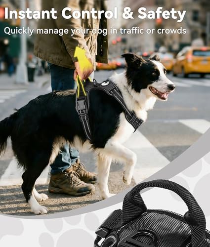 Joytale No Pull Dog Harness for Large Dogs, Front Clip - Image 3