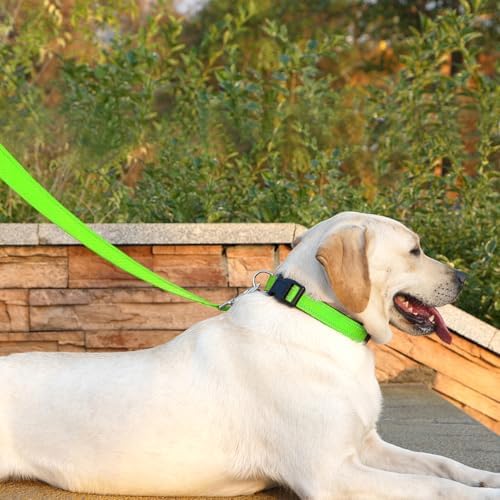 6 FT Basic Dog Leash for Medium Dogs - Image 3