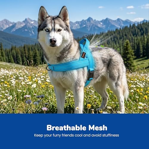 Didog No Pull Dog Harness for Medium Dogs, Breathable Mesh Padded - Image 2
