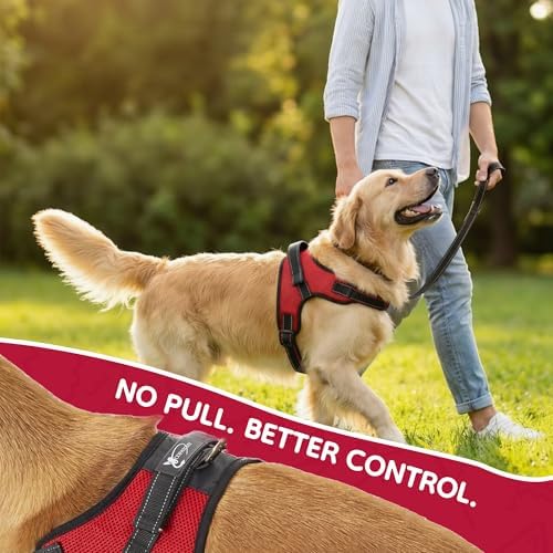 No Pull Reflective Adjustable Dog Harness - Image 6