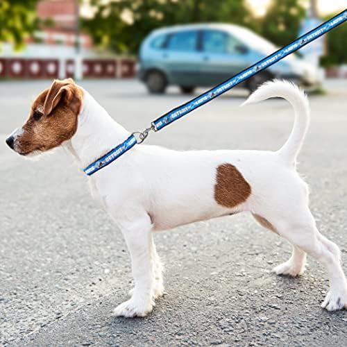 Pets First NFL Licensed Detroits Lions Pet Leash, Size Large – Durable Satin - Image 5