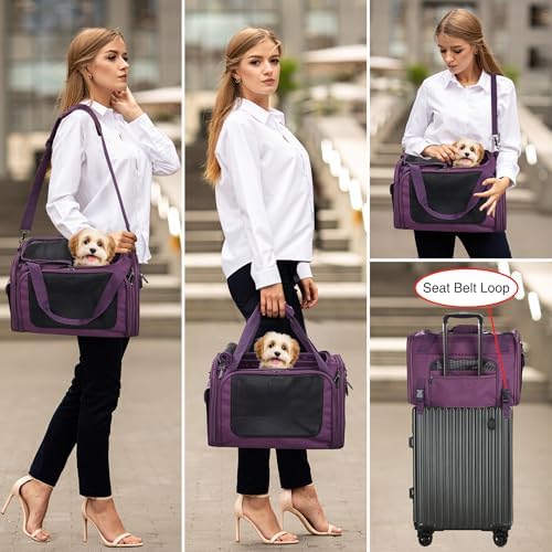 EliteField Deluxe Soft Pet Carrier - Image 3
