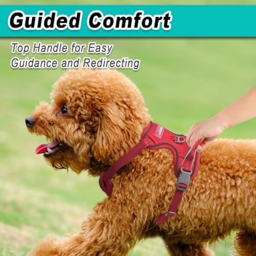 BARKBAY Dog Harness for Small Sized Dog No Pull Mesh 2 Clips Dog Vest - Image 4