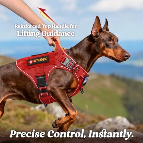 rabbitgoo Tactical Dog Harness for Large, Heavy Duty Military No Pull Vest - Image 3