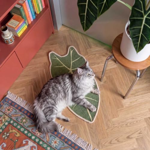 Sisal Botanical Leaf Cat Wall Scratcher - Image 5