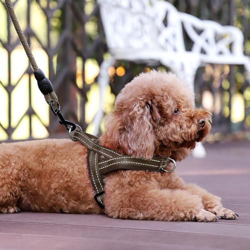 Plutus Pet No Pull Dog Harness for Medium Sized Dog, Breathable Mesh Padded - Image 6