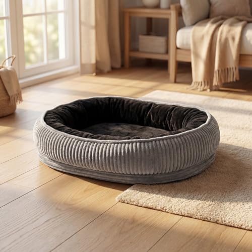 Calming Dog Bed for Medium Dogs, Orthopedic Washable Pet Bed by TailThrone