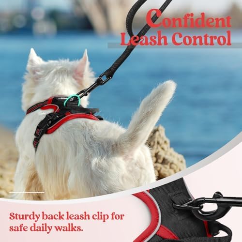 rabbitgoo Dog Harness, No Pull for Small Dogs - Image 6