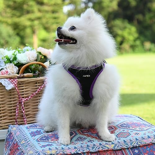 AMTOR Small Dog Harness with Leash Set, No Escape Easy Walk Puppy Harnesses - Image 5