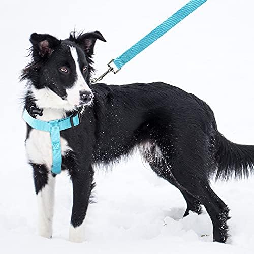No Pull Dog Harness, Leash & Collar Set, Adjustable Step-in Vest - Image 5