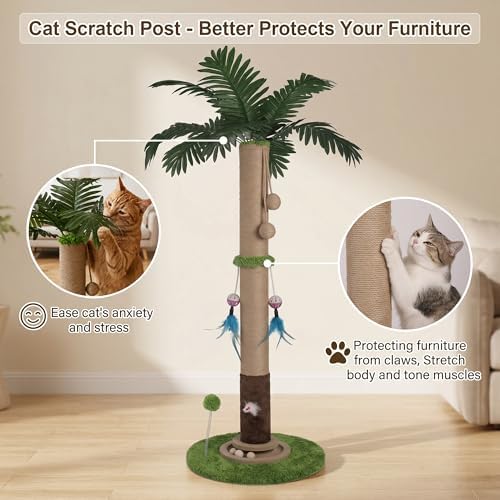 Cat Scratching Post for Indoor Cat Adult, 35 Inch Tall Tree Scratching Post - Image 6