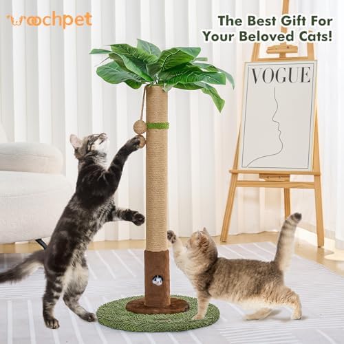 Woochpet Cat Scratching Post for Indoor Cats, 35.43" Tall Cat Scratcher Tree - Image 2