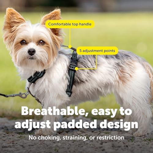 PetSafe 3 in 1 No-Pull Dog Harness - Image 5