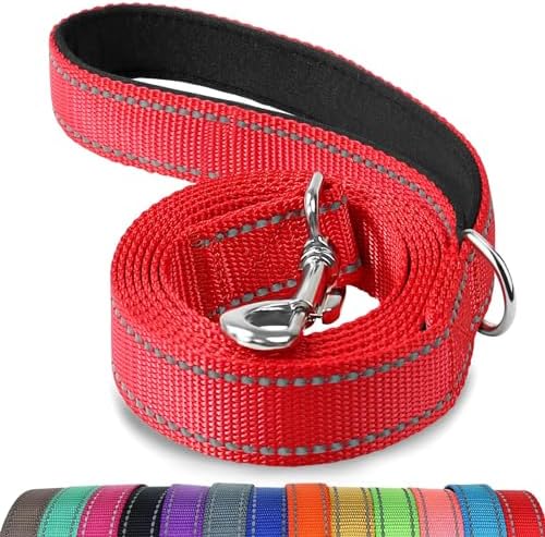 Joytale Reflective Dog Leash for Medium & Large Dogs, 6 FT x 1" by Joytale
