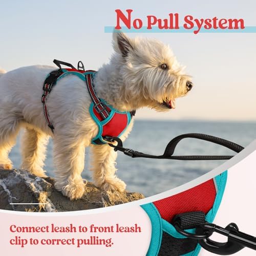 rabbitgoo Dog Harness, No Pull for Small Dogs - Image 5