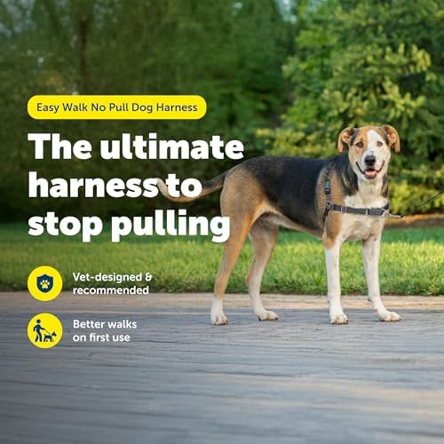 PetSafe Easy Walk Harness, No Pull Dog Harness, Charcoal Gray, Extra Large - Image 2