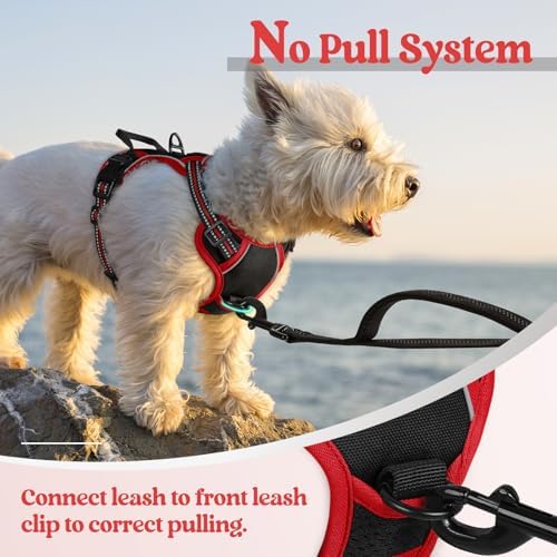rabbitgoo Dog Harness, No Pull for Small Dogs - Image 5
