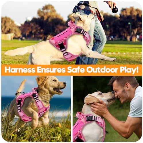 Heavy-Duty Tactical Dog Harness - Image 6
