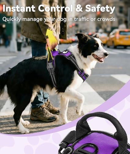 Joytale No Pull Dog Harness for Large Dogs, Front Clip - Image 3