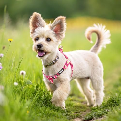 PUPTECK No Pull Dog Harness Small Sized Step-in Adjustable Puppy Vest - Image 5