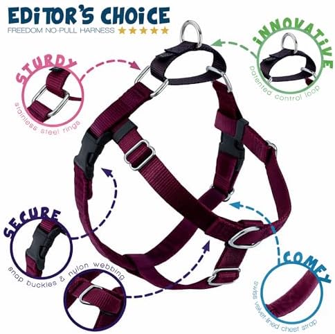 2 Hounds Design Freedom No Pull Dog Harness and Leash - Image 4