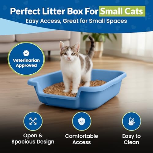 KittyGoHere Senior Cat Litter Box, Small Pan, 2 Pack Little Boy Blue - Image 2