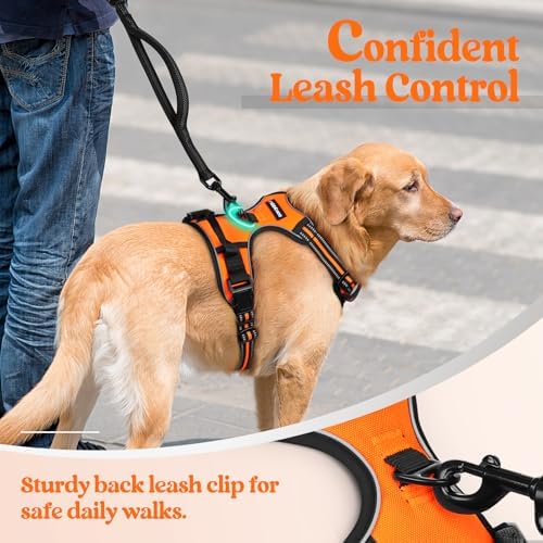 rabbitgoo Dog Harness, No Pull Medium Sized - Image 6
