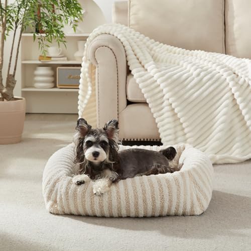 MIXJOY Dog Beds for Small Dogs Cats, Washable Dog Bed by MIXJOY