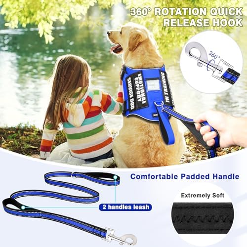 Service Dog Vest Harness and Leash Set+10 Patches, Easy Walk Blue XL - Image 2