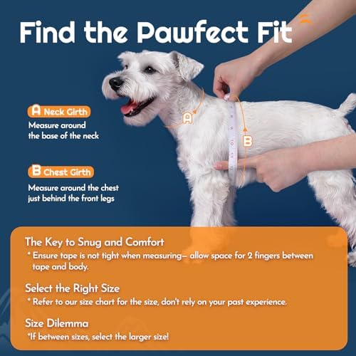 Eagloo Small Dog Harness and Leash Set, Step in Extra Small Puppy Pet Vest - Image 2