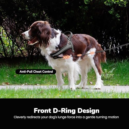 Didog No Pull Dog Harness for Large Dogs, Breathable Mesh Padded - Image 5