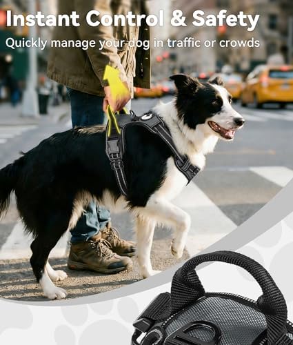 Joytale No Pull Dog Harness for Extra Large Dogs, Front Clip - Image 3