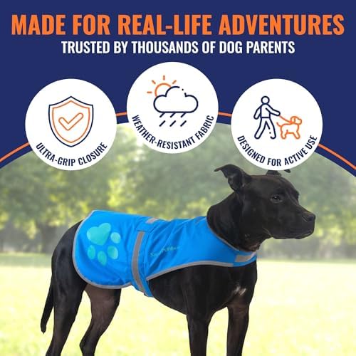 Reflective Dog Vest, Hi Vis Safety Gear - Image 3