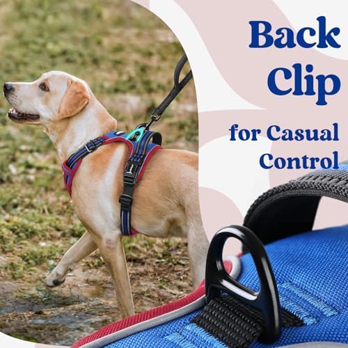 rabbitgoo Dog Harness for Large, Updated Easy On & Off - Image 5