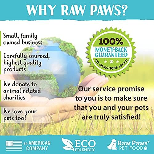 Raw Paws Hand-Held Grooming Pin Brush - Image 5