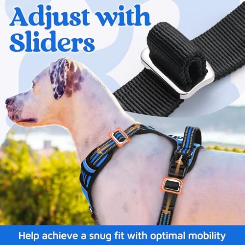 rabbitgoo Dog Harness for Large, No Pull 3 Buckles Easy On & Off - Image 5