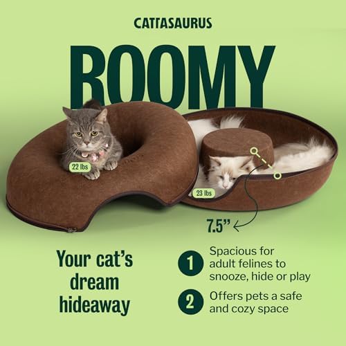 Cattasaurus Peekaboo Cat Cave Donut - Image 6