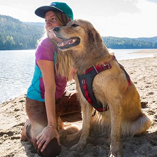 Kurgo Journey Air Dog Harness, Extra Large - Image 5