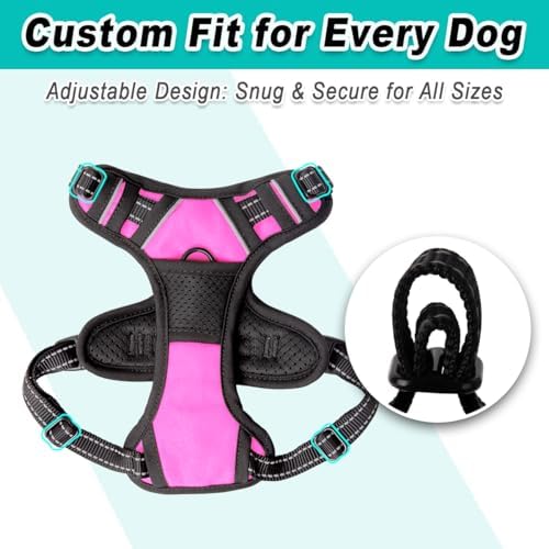 BARKBAY Dog Harness for Small Sized Dog No Pull 2 Leash Clips Dog Vest - Image 6