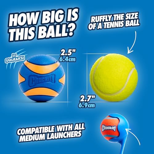Chuckit! Ultra Ball Dog Fetch Toy, Medium 2.5in, 4 Pack - Image 5