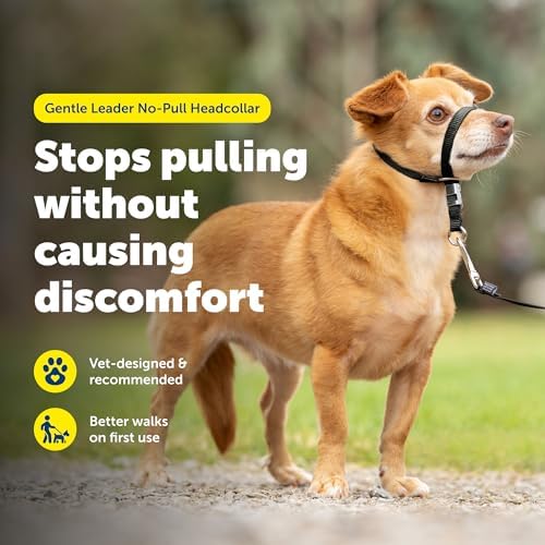PetSafe Gentle Leader No Pull Dog Headcollar - Image 2