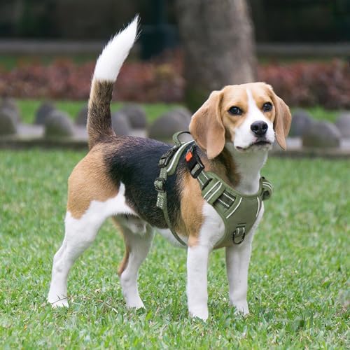 Timos Dog Harness, Front Clip No Pull Medium Sized - Image 3