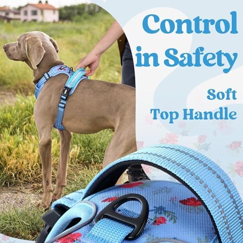 rabbitgoo Dog Harness for Large, Updated Easy On & Off - Image 4