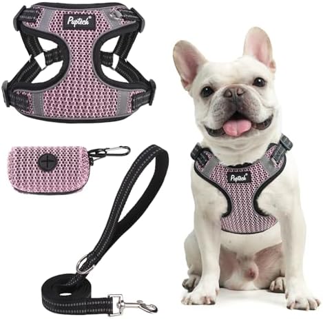 PUPTECK Dog Harness and Leash Set Medium Sized, Step in No Pull Adjustable by PUPTECK