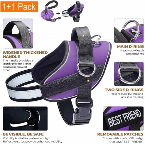 Haapaw Essential Dog Harness, No Pull Pet Vest - Image 2
