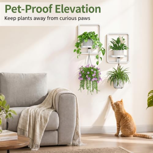 LASZOLA Plant Picture Frame Holder Shelf Wall Window Indoor - Image 6