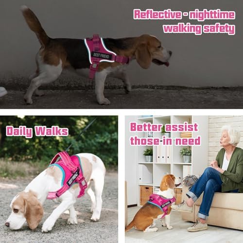 AUROTH Dog Harness and Leash Set Small Sized Dog, No Pull Escape Proof Vest - Image 2